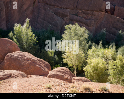 Ein Wasserlauf durch eine Schlucht im Tal Du Dades lokal bekannt als Affe Füße oder Affe Finger, Marokko, Nordafrika Stockfoto