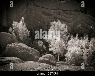 Ein Wasserlauf durch eine Schlucht im Tal Du Dades lokal bekannt als Affe Füße oder Affe Finger, Marokko, Nordafrika Stockfoto