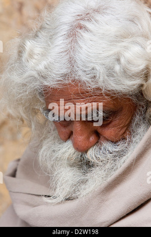 Indien, Rishikesh. Bärtiger alten Mann Hindi Zeitung lesen. Stockfoto