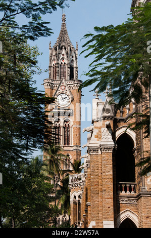 Universität von Mumbai Rajabai Clock Tower Fort Mumbai (Bombay) Indien Stockfoto