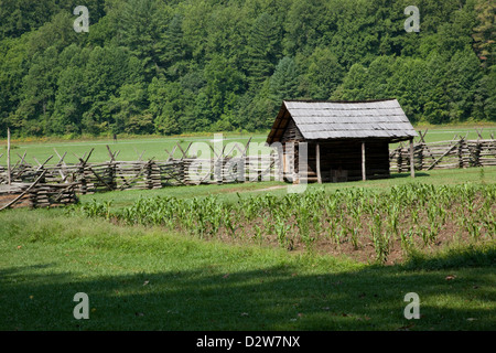 Kornfeld mit einem Protokoll Gebäude dahinter, eine Split-Zaun mit Wald im Hintergrund Stockfoto