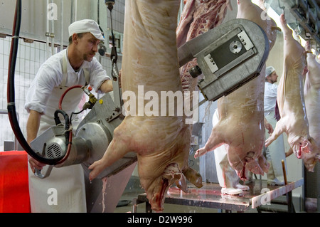 Neuruppin, Deutschland, Metzger in der Verarbeitung von Schweine geschlachtet Stockfoto