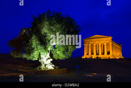 Olivenbaum & Tempel der Concorde in das Tal der Tempel in Agrigento, Sizilien, Italien. Stockfoto