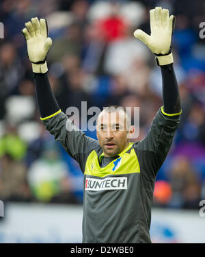 Hoffenheim Torhüter Heurelho Gomes Gesten während der Fußball-Bundesliga-match zwischen 1899 Hoffenheim und SC Freiburg am Rhein-Neckar-Arena in Sinsheim, Deutschland, 2. Februar 2013. Foto: UWE ANSPACH (Achtung: EMBARGO Bedingungen! Die DFL ermöglicht die weitere Nutzung der nur bis zu 15 Bilder (keine Sequntial Bilder oder Video-ähnliche Reihe der Bilder erlaubt) über das Internet und Online-Medien während des Spiels (einschließlich Halbzeit), im Stadion oder vor dem Start des Spiels entnommen. Die DFL erlaubt die uneingeschränkte Übertragung von digitalisierten Aufnahmen während des Spiels Stockfoto