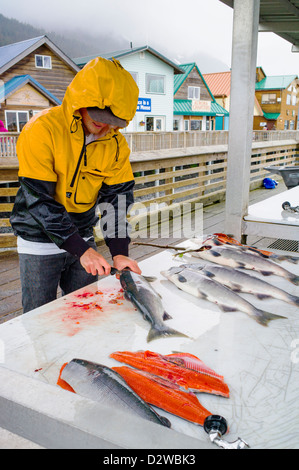 Fischer und Charter-Boot-Kapitäne Reinigung ihren Fang des Tages an den Docks, Seward, Alaska, USA Stockfoto