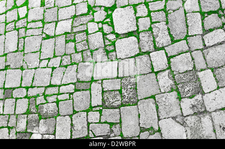 Grauen Steinboden mit Rasen Lücken Stockfoto