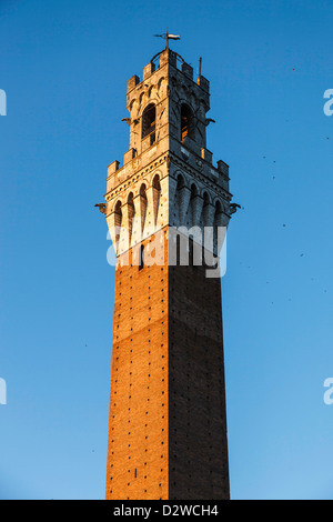 Torre del Mangia und der Palazzo Publico, Siena, Toskana, Italien Stockfoto