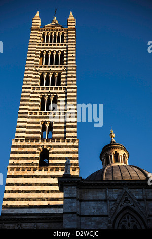 Siena Dom Glockenturm (Camanile), Toskana, Italien Stockfoto