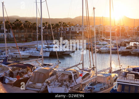 Yacht und Boote an der belebten Marina von Latchi, Bereich Paphos, Zypern Stockfoto