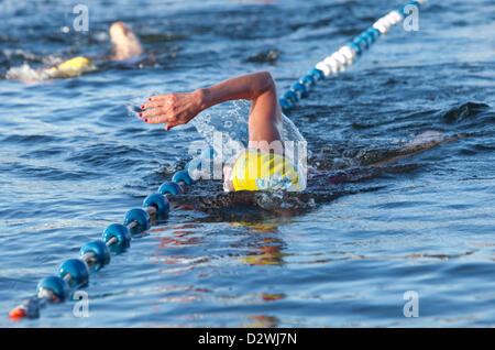 See-Windemere, Cumbria, UK. 2. Februar 2013. Chillswim Veranstaltung in Lake Windermere, Lake District. Menschen antreten in kaltem Wasser schwimmen Rennen. Stockfoto