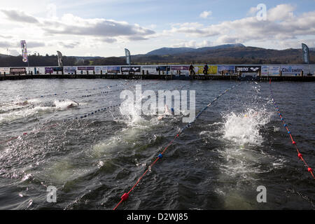 See-Windemere, Cumbria, UK. 2. Februar 2013. Chillswim Veranstaltung in Lake Windermere, Lake District. Menschen antreten in kaltem Wasser schwimmen Rennen. Stockfoto