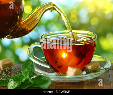 Gießen Tee aus einer Teekanne in eine Tasse auf einem unscharfen Hintergrund der Natur. Stockfoto