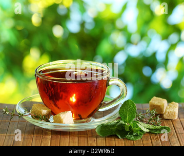 Tasse Tee auf der Natur der Hintergrund jedoch unscharf. Stockfoto