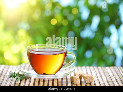 Tasse Tee und Teekanne auf einem unscharfen Hintergrund der Natur. Stockfoto