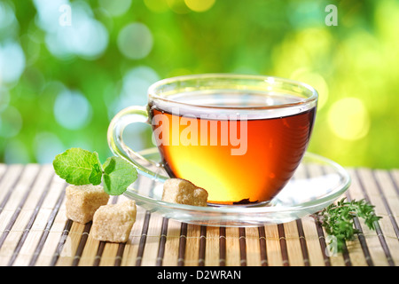 Tasse Tee auf der Natur der Hintergrund jedoch unscharf. Stockfoto