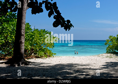 Weißes Pulver Strand von Koh Tachai in der Andamanensee vor der Küste von Thailand Stockfoto