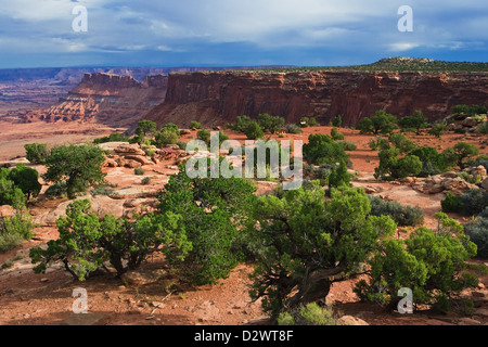 Canyonlands National Park, Utah, USA Stockfoto