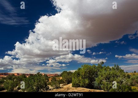 Canyonlands National Park, Utah, USA Stockfoto