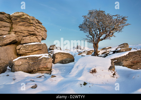 Blick vom Holwell Tor zum Haytor auf Dartmoor im dicken Schnee. Stockfoto