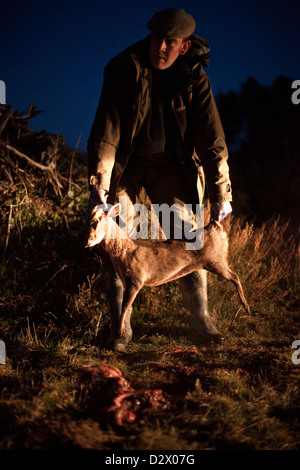 Jäger hält junges Reh getötet für Sport, Thetford Forest, UK Stockfoto