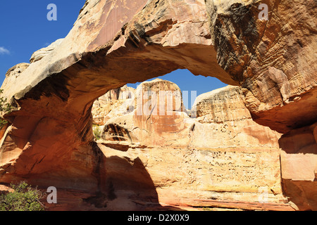 Famous Hickman Bridge, Utah, Capitol Reef, USA Stockfoto