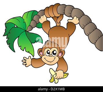 Affe Palme - isolierte Darstellung hängen. Stockfoto