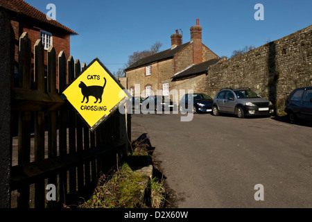 Katzen, die Straße überqueren zu unterzeichnen, im Vereinigten Königreich Stockfoto