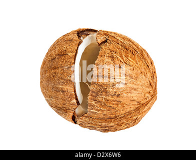 Kokosnuss isoliert auf einem weißen Stockfoto