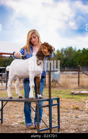 Weibliche Teenager trimmen Ziege auf einem passenden Ständer bei einem Texas Vieh Bauernhof Stockfoto