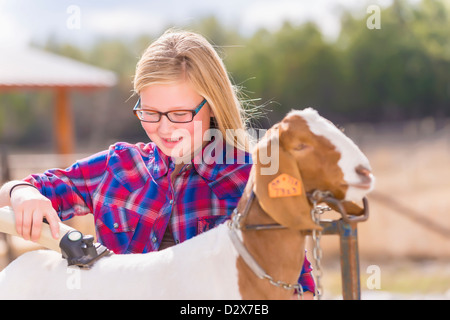 Mädchen ist eine Boer Ziege um eine Vieh-Show vorzubereiten trimmen. Stockfoto