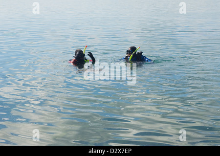Tauchen in Scapa Flow, Orkney Inseln, Schottland. Stockfoto