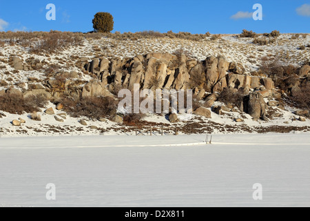 Ein einzelner Baum auf einem Hügel in einem schneebedeckten Feld. Stockfoto