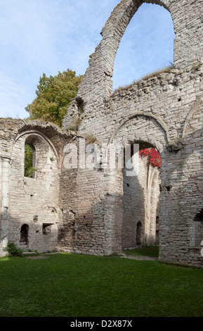 Alte Ruinen in Gotland, Visby, Schweden Stockfoto