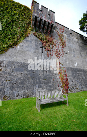 Ivy schleicht sich eine Steinmauer mit alten Bank im Vordergrund Stockfoto