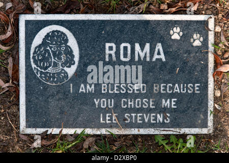 3. Februar 2013 - Calabasas, Kalifornien, USA - Tausende von Haustieren sind auf dem Los Angeles Pet Memorial Park beigesetzt.  Etwa 80 % sind entweder Hunde oder Katzen, aber der Friedhof hält auch die Überreste der Pferde, Lamas, Vögel, Schweine Topf aufgebläht und Klammeraffen.  Zu den bekanntesten Tieren beigesetzt sind die Lone Ranger Pferd "Silber," die kleinen Strolche Hund "Petey" und "Tawny," MGM berühmten Löwen. (Kredit-Bild: © Brian Cahn/ZUMAPRESS.com) Stockfoto