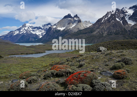 Lago Nordenskjold und das Paine-massiv, Torres del Paine Nationalpark, Patagonien, Chile Stockfoto