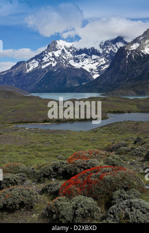 Lago Nordenskjold und das Paine-massiv, Torres del Paine Nationalpark, Patagonien, Chile Stockfoto