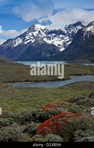 Lago Nordenskjold und das Paine-massiv, Torres del Paine Nationalpark, Patagonien, Chile Stockfoto