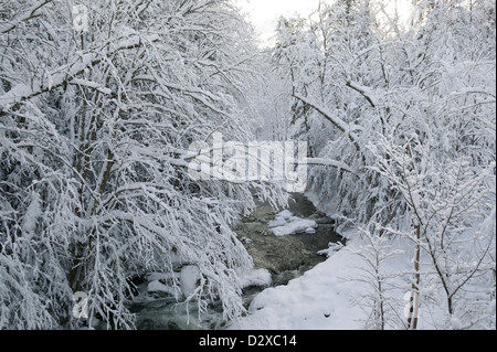 Schneebedeckte Bäume über Goldbrook Bach mitten im Winter, Stowe, Vermont, USA Stockfoto