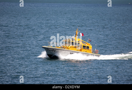 "Gouverneur Bligh" Pilot Service Boot auf Port Botany Sydney Australien Stockfoto