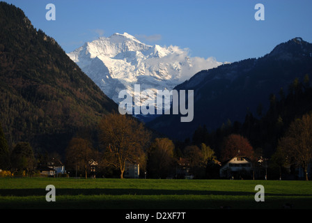 Mount Jungfrau gesehen aus Interlaken, Berner Alpen, Schweiz Stockfoto