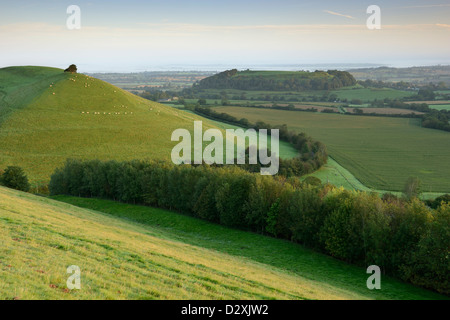 Cadbury Castle und Parrock Hügel an einem klaren Morgen in Somerset, Großbritannien.