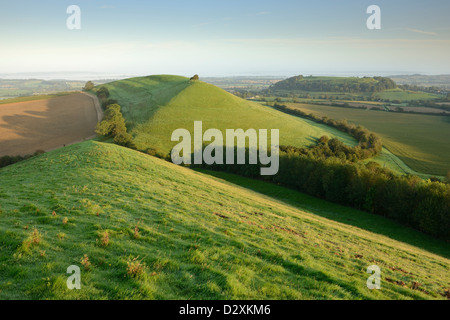 Cadbury Castle und Parrock Hügel an einem klaren Morgen in Somerset, Großbritannien.