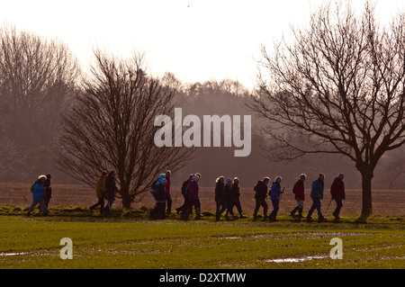 Gruppe von senior Wanderer Wanderer Spaziergang über Feld Stockfoto