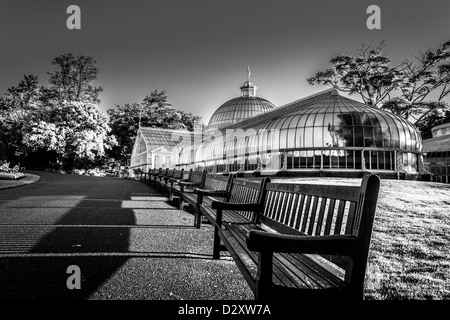 Kibble Palace, Glasgow. Botanische Gärten Stockfoto