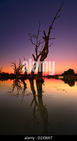Sonnenaufgang auf dem Murray River in der Nähe von Renmark in der South Australian Riverland Stockfoto
