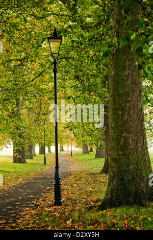 Clapham Common, London England UK im Frühherbst mit Flugzeug viktorianischen Lampen Bäume und Blätter auf dem Boden Stockfoto