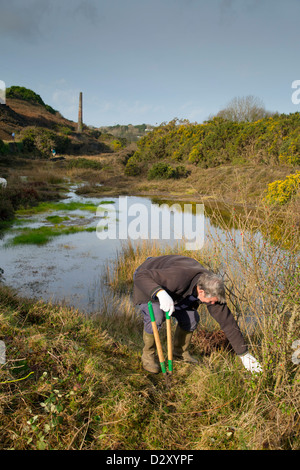 Großen Wheal Seton; Erhaltung der Arbeit; Cornwall; UK Stockfoto