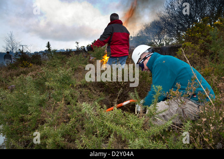 Großen Wheal Seton; Erhaltung der Arbeit; Cornwall; UK Stockfoto