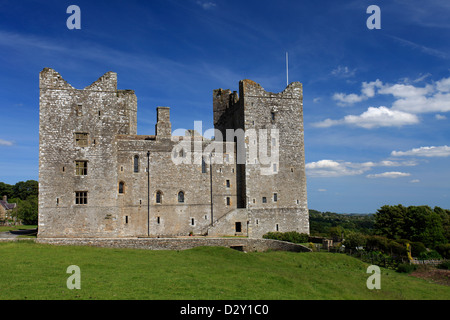 Blick über die Blumenwiese, Schloss Bolton Castle; Wensleydale; Yorkshire Dales National Park, England, Vereinigtes Königreich Stockfoto